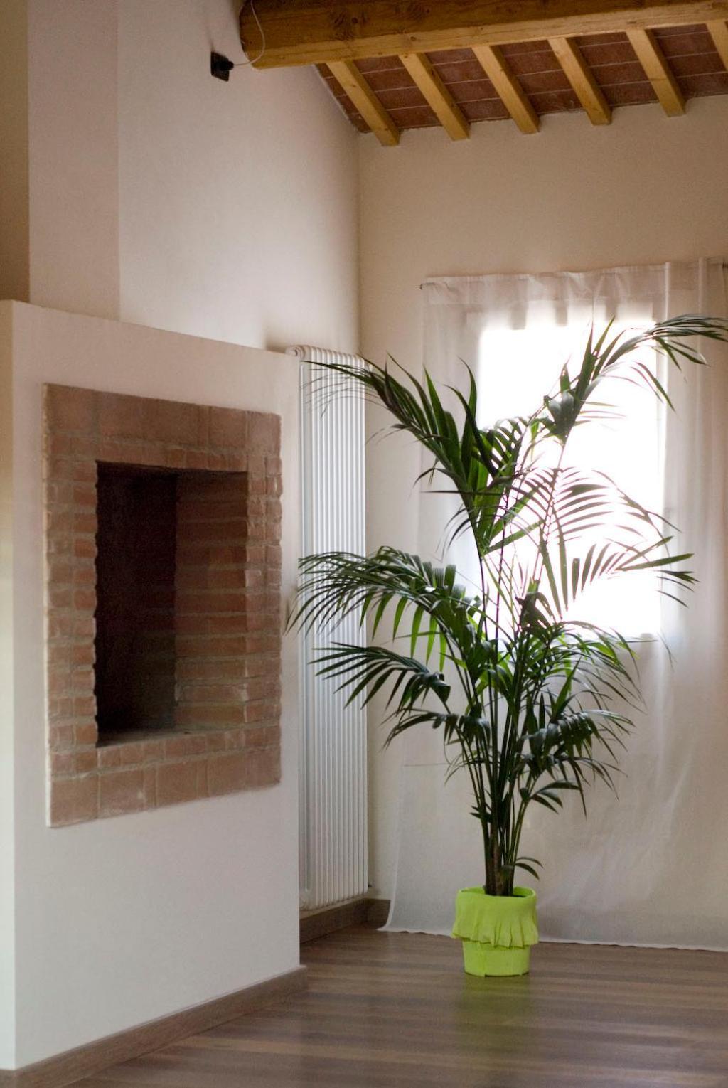 B&B Cittabella Cittadella Esterno foto